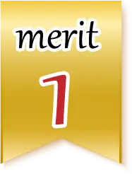 merit1